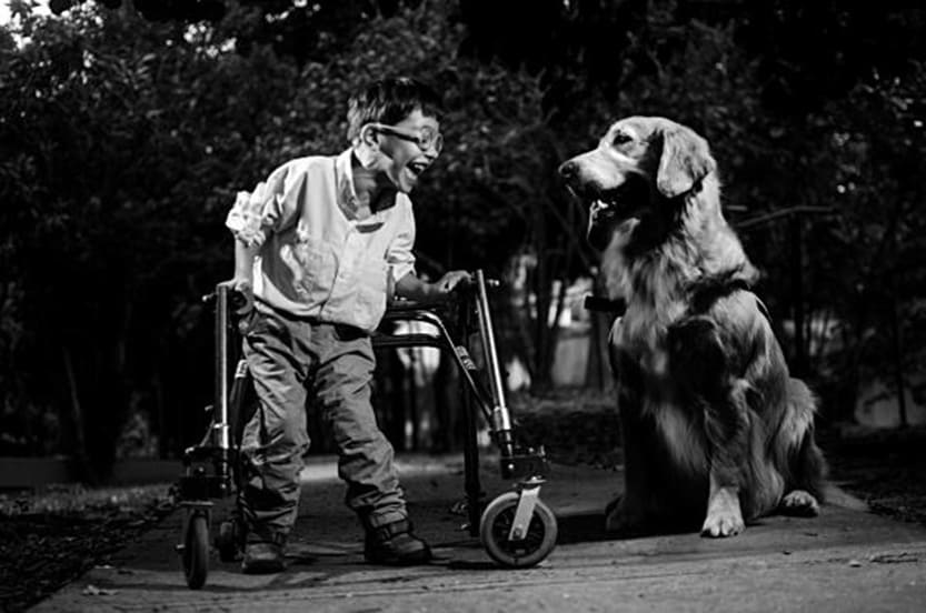 Abrió convocatoria para concurso fotográfico sobre discapacidad de la Fundación Paso a Paso