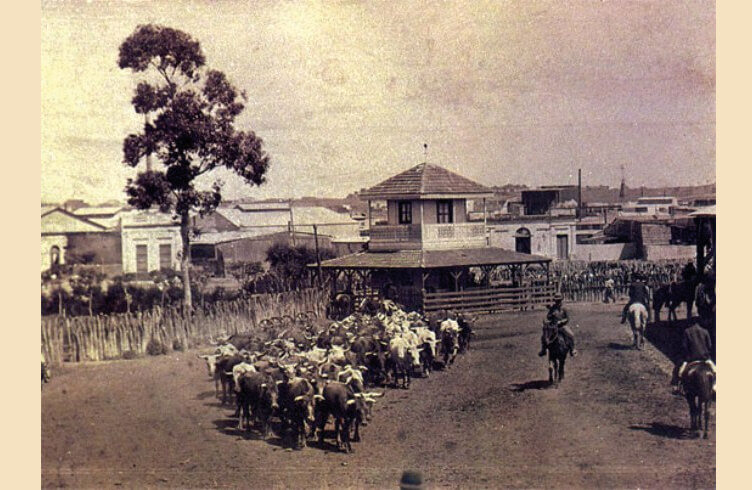 Ministerio de Salubridad y Agricultura (1930)