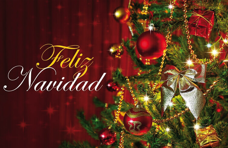 La Familia Banesco les desea ¡Feliz Navidad!