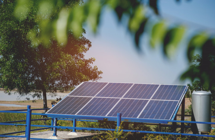 Ha llegado el turno de las granjas solares