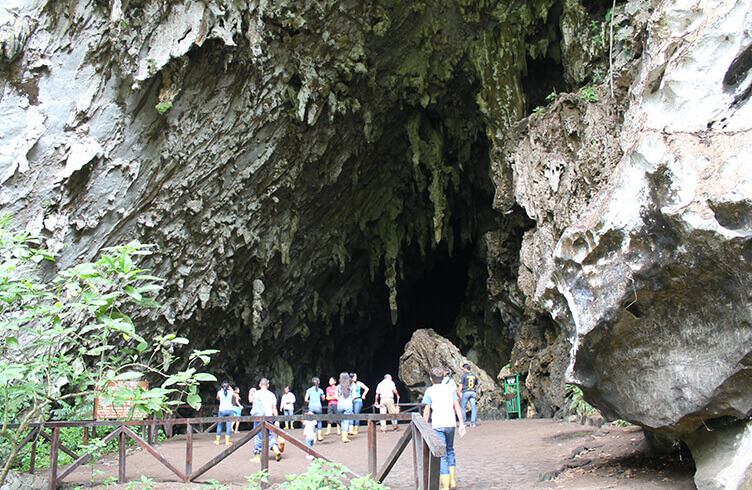 Cueva del Guácharo celebra 66 aniversario como monumento natural