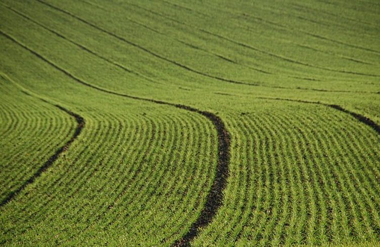 Los inversores de Silicon Valley echan raíces en la industria agrícola