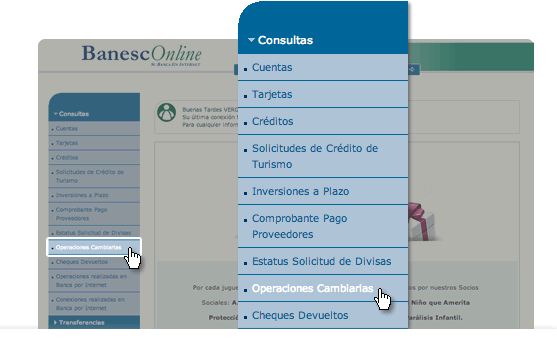 Clientes de Banesco ya tienen renovadas las solicitudes de divisas para compras por Internet para el 2013